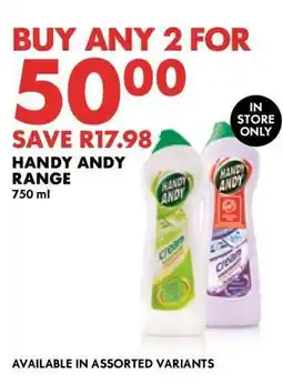 Woolworths Handy Andy Range offer