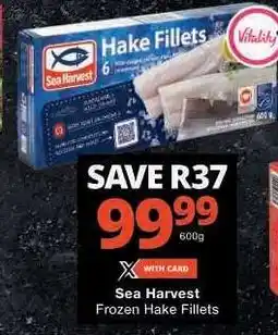 Checkers Sea Harvest Frozen Hake Fillets offer