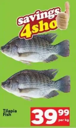 Check Save Tilapia Fish offer