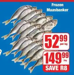 Boxer Frozen Maasbanker offer