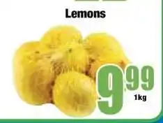 Boxer Lemons offer