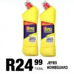 Take 'n Pay Jeyes homeguard offer