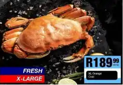 Take 'n Pay XL Orange Crab offer