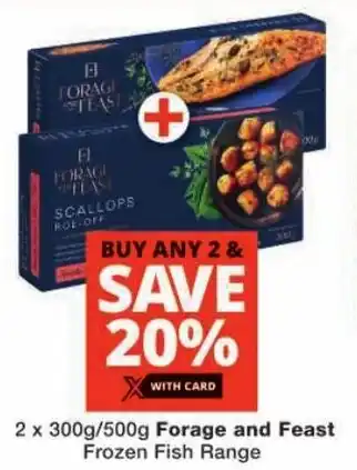 Checkers Forage and Feast Frozen Fish Range offer