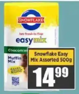 Big Save Snowflake Easy Muffin Mix Assorted offer