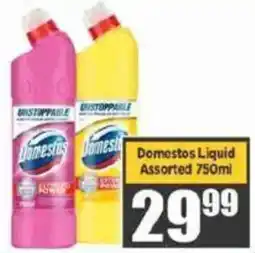 Big Save Domestos Liquid Assorted offer