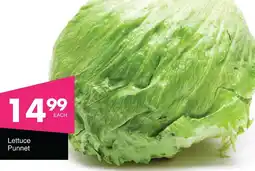 Save Hyper Lettuce Punnet offer