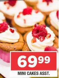 Frontline Mini cakes asst. offer