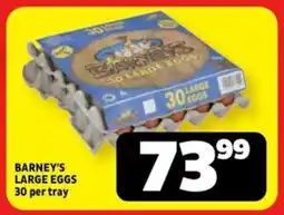 Usave Barney's large eggs offer