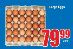 Boxer Large Eggs offer