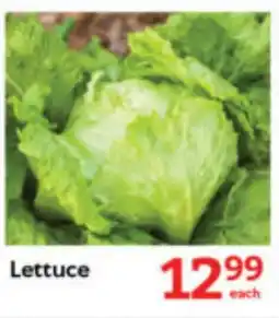 Oxford Freshmarket Lettuce offer