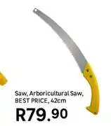 Leroy Merlin Saw, Arboricultural Saw offer