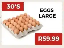 Saverite Eggs large offer