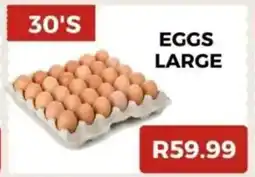 Saverite Eggs large offer