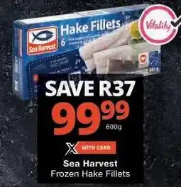 Checkers Sea Harvest Frozen Hake Fillets offer