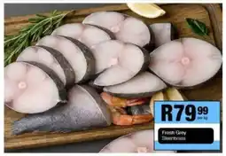 Take 'n Pay Fresh Grey Steenbrass offer