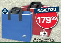 Pick n Pay 25 Litre Freezer Tote offer