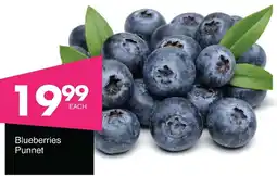 Save Hyper Blueberries Punnet offer