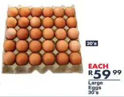 Large Eggs