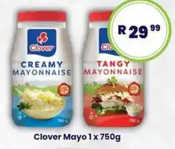 Clover Mayo
