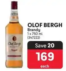 Makro OLOF BERGH offer