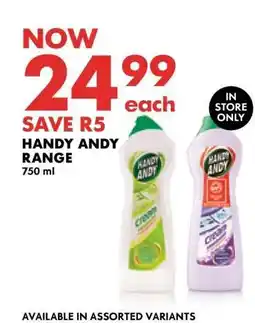 Woolworths Handy Andy Range offer