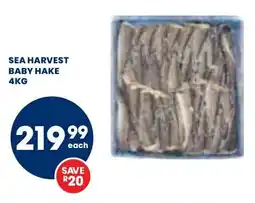 Sea harvest baby hake