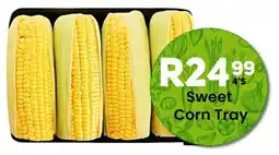 Take 'n Pay Sweet Corn Tray offer