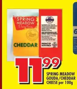 Shoprite SPRING MEADOW GOUDA/CHEDDAR CHEESE per 100g offer