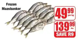 Boxer Frozen Maasbanker offer