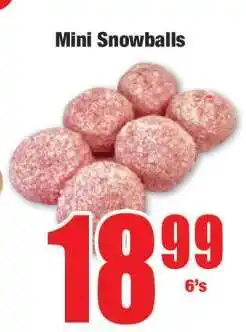 Boxer Mini Snowballs offer