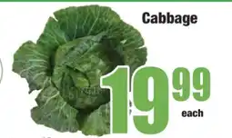 Boxer Cabbage offer