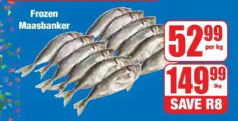 Boxer Frozen Maasbanker offer