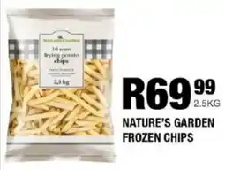 Take 'n Pay Nature's garden frozen chips offer