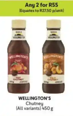 Makro WELLINGTON'S Chutney offer