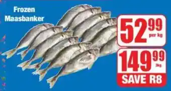 Boxer Frozen Maasbanker offer