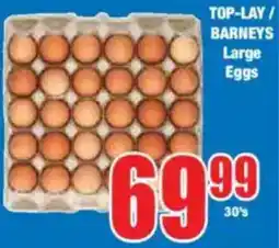 Boxer TOP-LAY/ BARNEYS Large Eggs offer