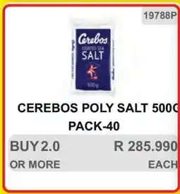 KitKat Cash and Carry CEREBOS POLY SALT 500G PACK-40 offer