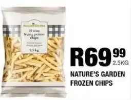 Take 'n Pay Nature's garden frozen chips offer