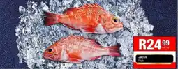 Take 'n Pay Jacks Fish offer