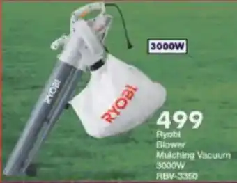President Hyper Ryobi Blower Mulching Vacuum 3000W offer