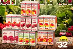 Choppies CHOPPIES 100% Fruit Juice Blend offer