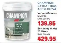 Cashbuild Champion extra thick acrylic pva offer