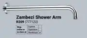 Builders Warehouse Cobra Zambezi Shower Arm 777120 offer