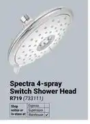 Builders Warehouse Cobra Spectra 4-Spray Switch Shower Head 733111 offer