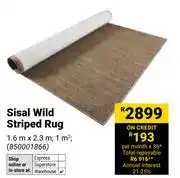 Builders Warehouse Sisal Wild Striped Rug-1.6m x 2.3m offer