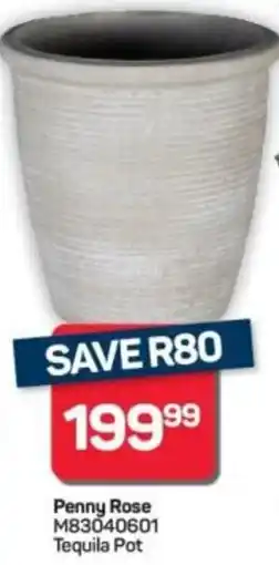 Pick n Pay Hypermarket Penny Rose Tequila Pot offer