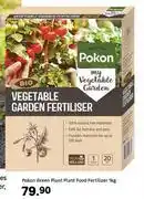 Leroy Merlin Pokon Green Plant Plant Food Fertilizer-1Kg offer
