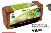 Leroy Merlin Stark Ayres Medium Growing Palm Peat offer