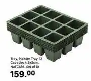 Leroy Merlin Natcare Tray, Planter Tray, 12 Cavaties 4.5 x 5cm, Set Of 10 offer